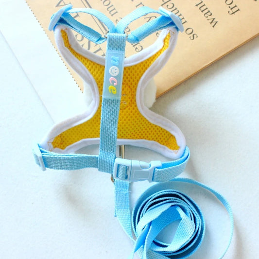 Cute Bear Dog Leash Set