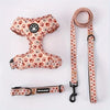 Kitten Harness Collar Leash Set