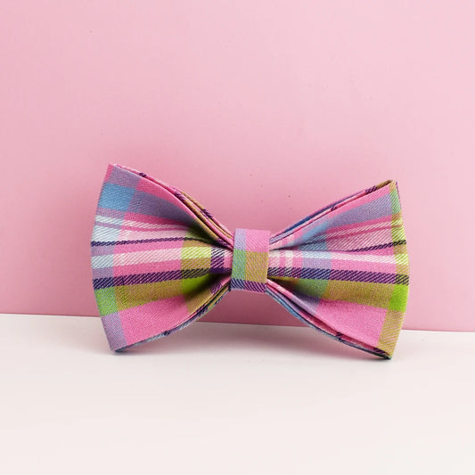 Luxury Retractable Dog Leash