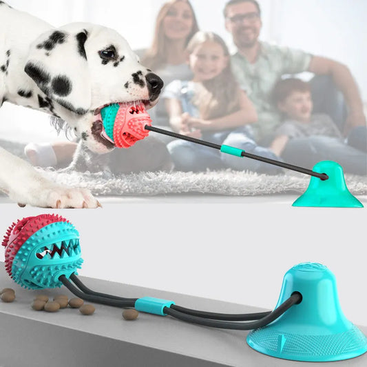 Toothbrush Chew Rope Dog Toy