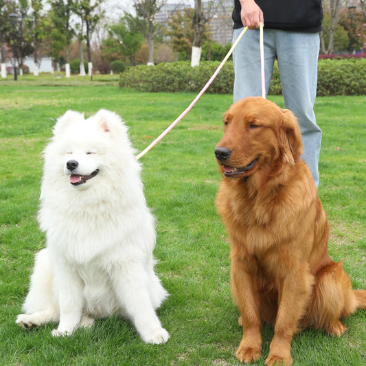 Colorful Rope Dog Leash