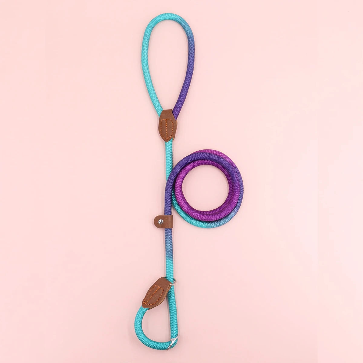 Colorful Outdoor Dog Leash