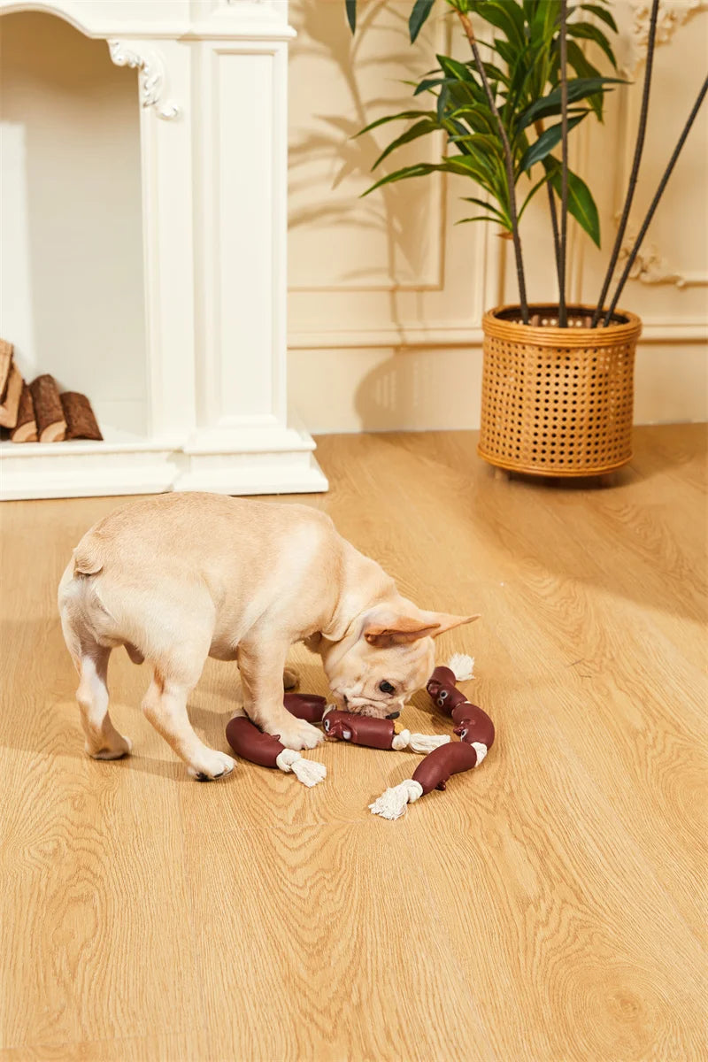 Outdoor Rope Tug Toy Pack