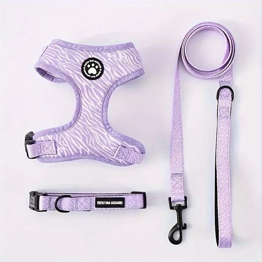 Kitten Harness Collar Leash Set