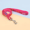Cartoon Bone Dog Leash