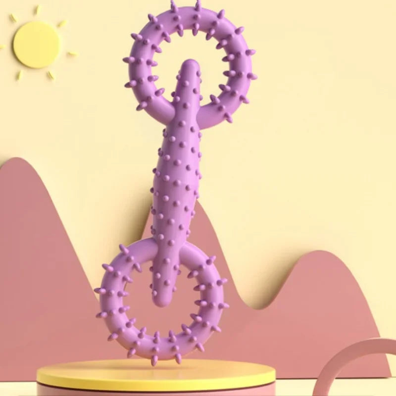 Treat Dispenser Rubber Chew Toy