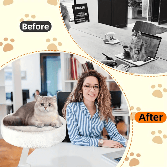 Floating Window Cat Bed