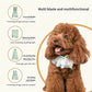 Electric Dog Hair Trimmer Kit
