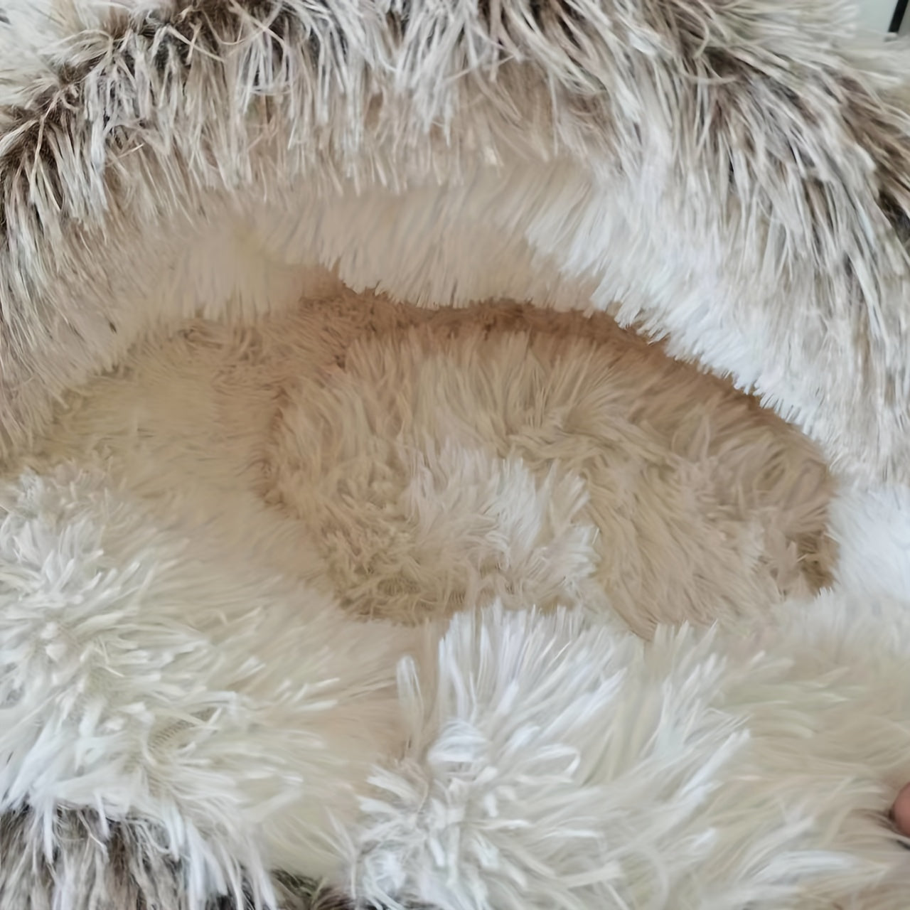 Cozy Covered Cat Dog Bed