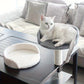 Floating Window Cat Bed