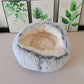 Cozy Covered Cat Dog Bed