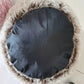 Cozy Covered Cat Dog Bed