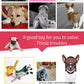 Braided Cotton Rope Dog Toy