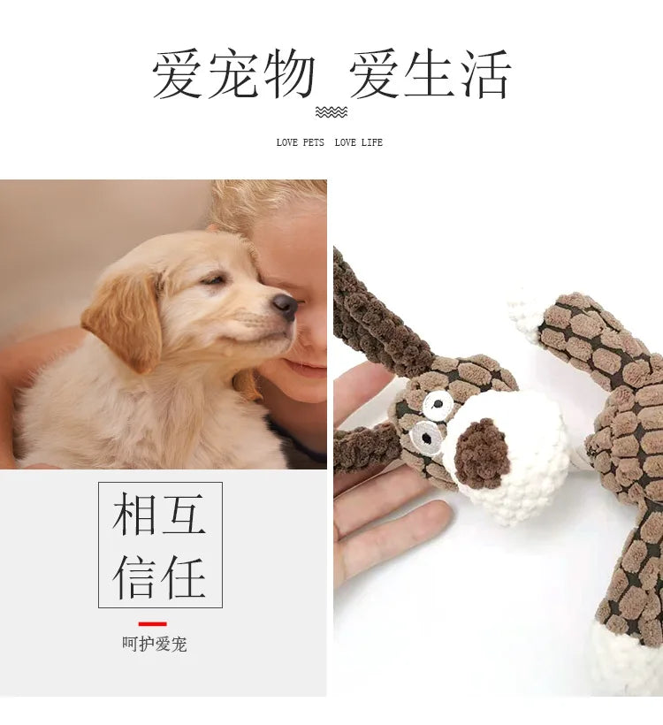 Squeaky Bone Chew Dog Toy