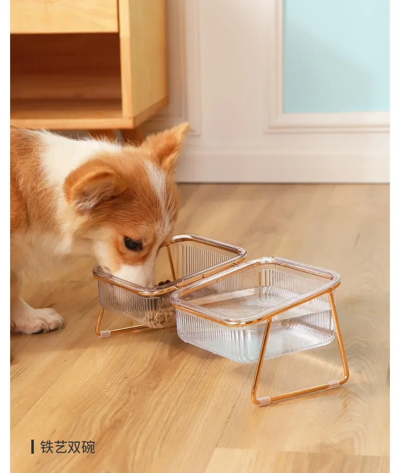 Transparent Raised Cat Bowl