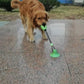 Toothbrush Chew Rope Dog Toy