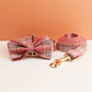 Luxury Retractable Dog Leash