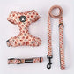 Kitten Harness Collar Leash Set