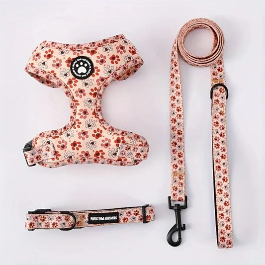 Kitten Harness Collar Leash Set