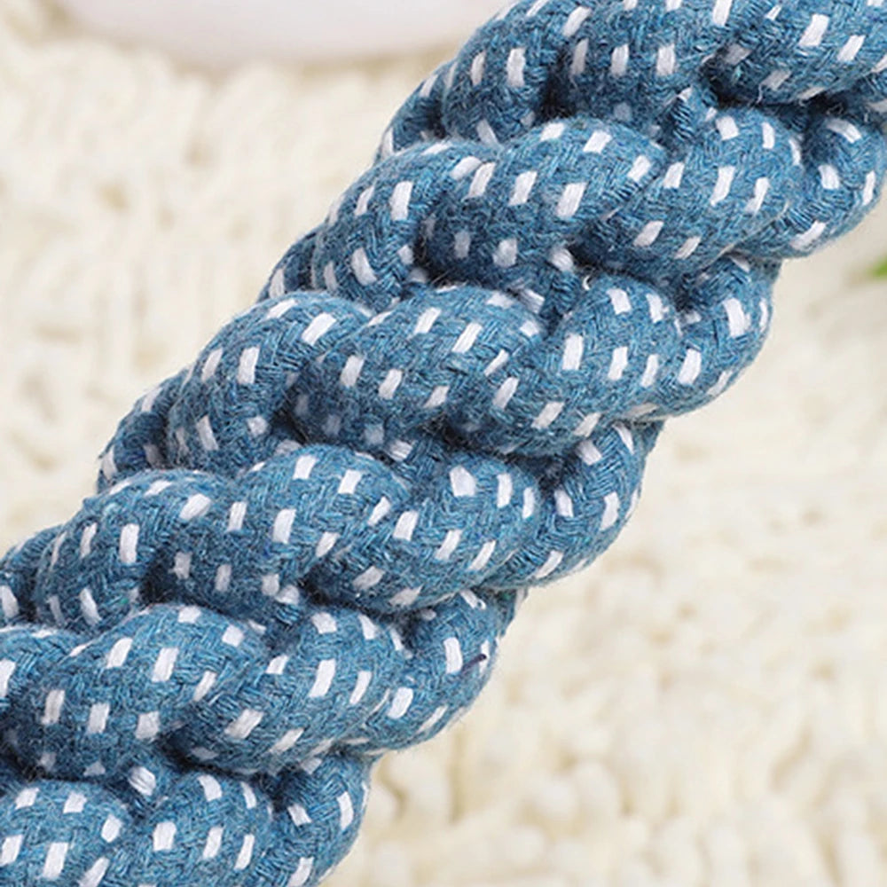 Suction Cup Dog Chew Toy