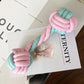 Plush Squeaky Dog Chew Toy