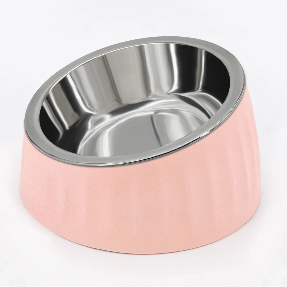 Stainless Steel Tilt Dog Bowl