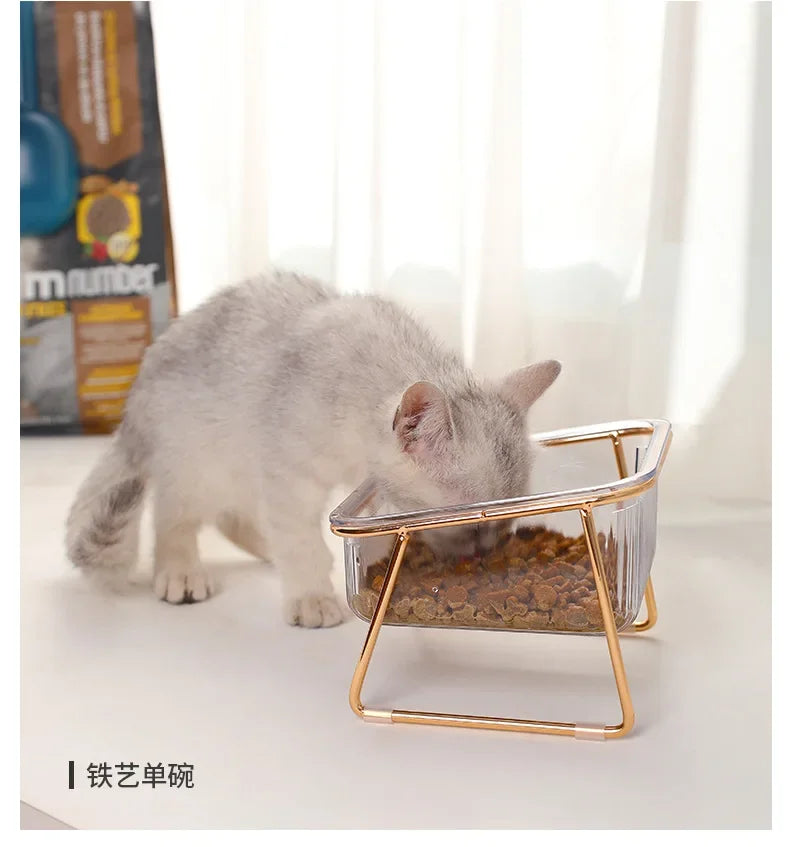 Transparent Raised Cat Bowl