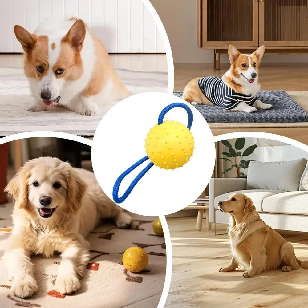Handwoven Rope Chew Dog Toy
