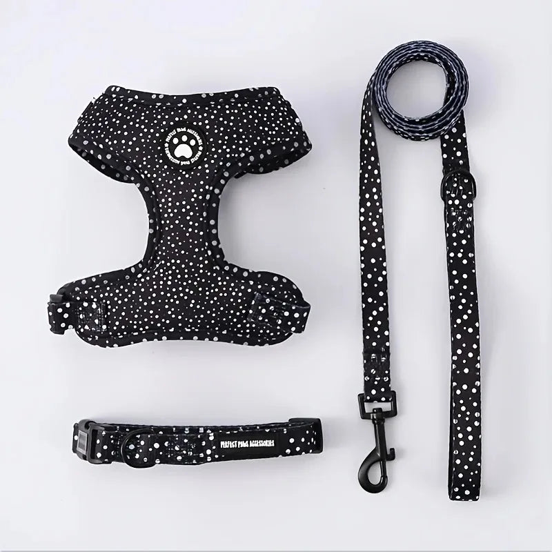 Kitten Harness Collar Leash Set