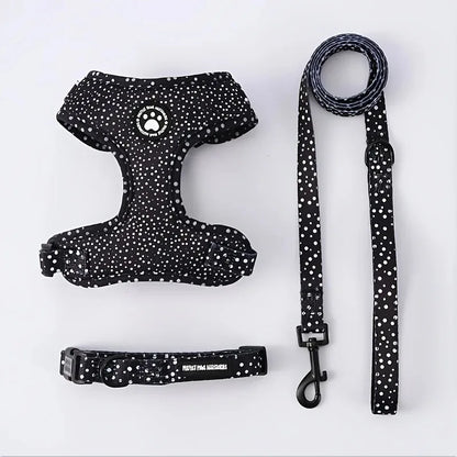 Kitten Harness Collar Leash Set