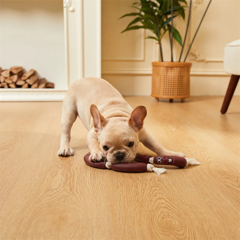 Outdoor Rope Tug Toy Pack
