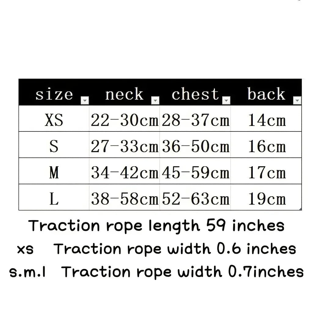 Kitten Harness Collar Leash Set