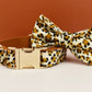 Leopard Print Dog Collar Set