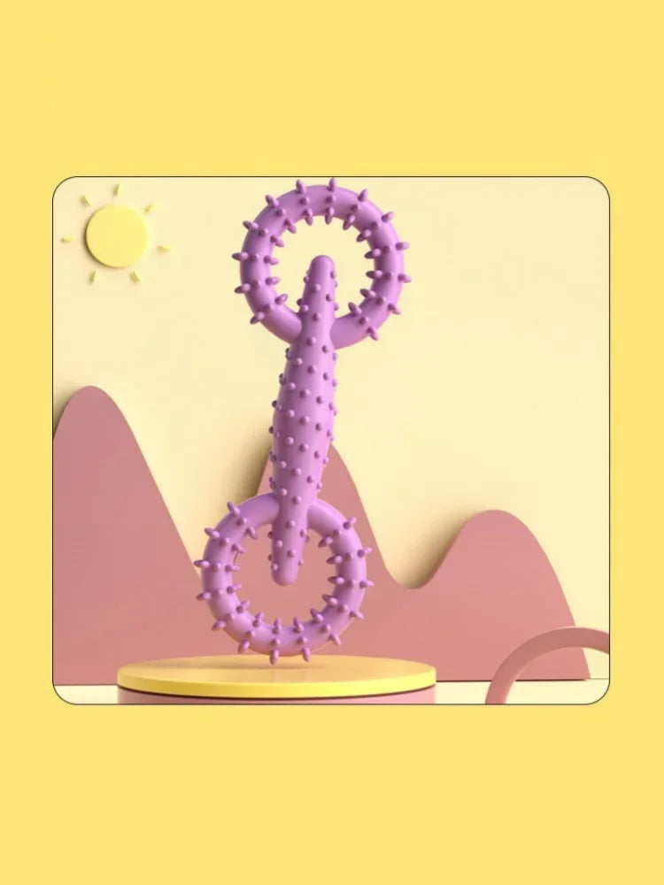 Treat Dispenser Rubber Chew Toy