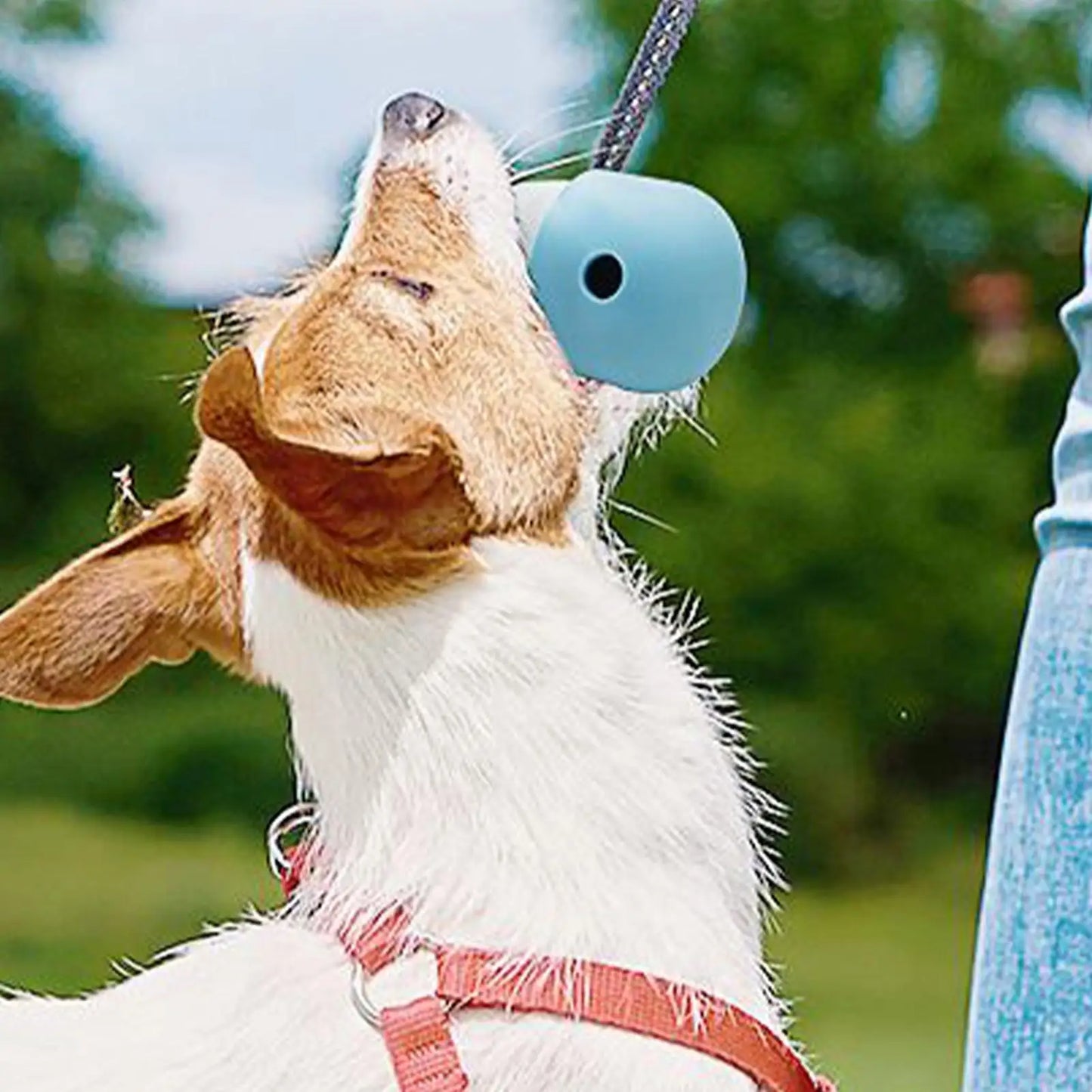 Dog Chew Toy Silicone Food Dispensing Ball For Dog Pet Supplies Interactive Puppy Treat Enrichment Toy For Medium Small Large