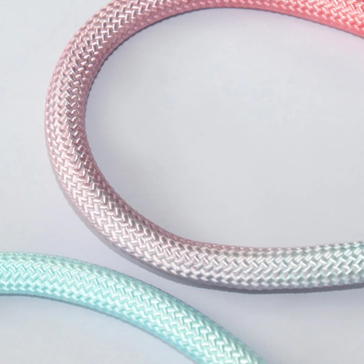 Colorful Outdoor Dog Leash