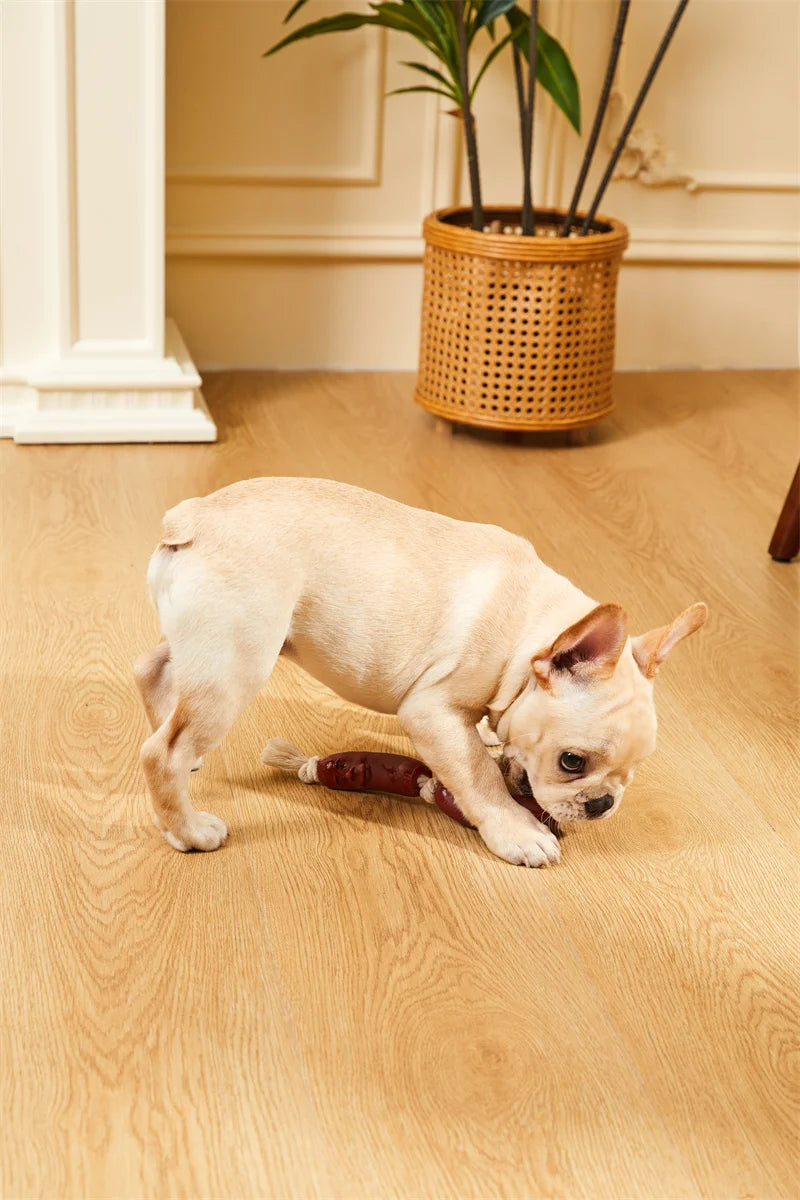 Outdoor Rope Tug Toy Pack