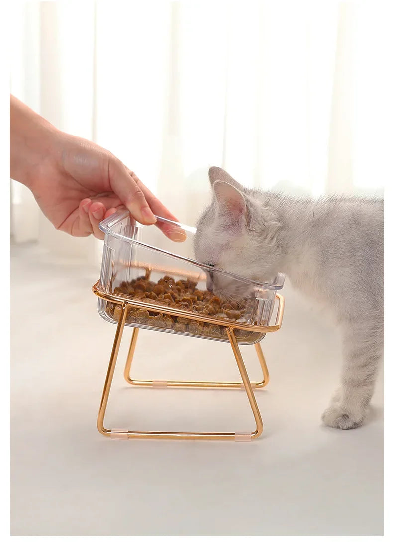 Transparent Raised Cat Bowl