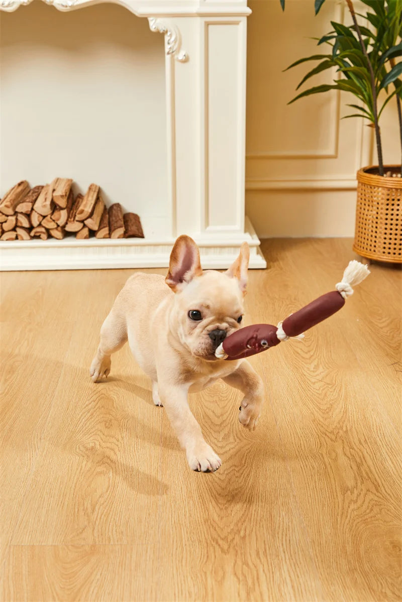 Outdoor Rope Tug Toy Pack