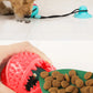 Toothbrush Chew Rope Dog Toy