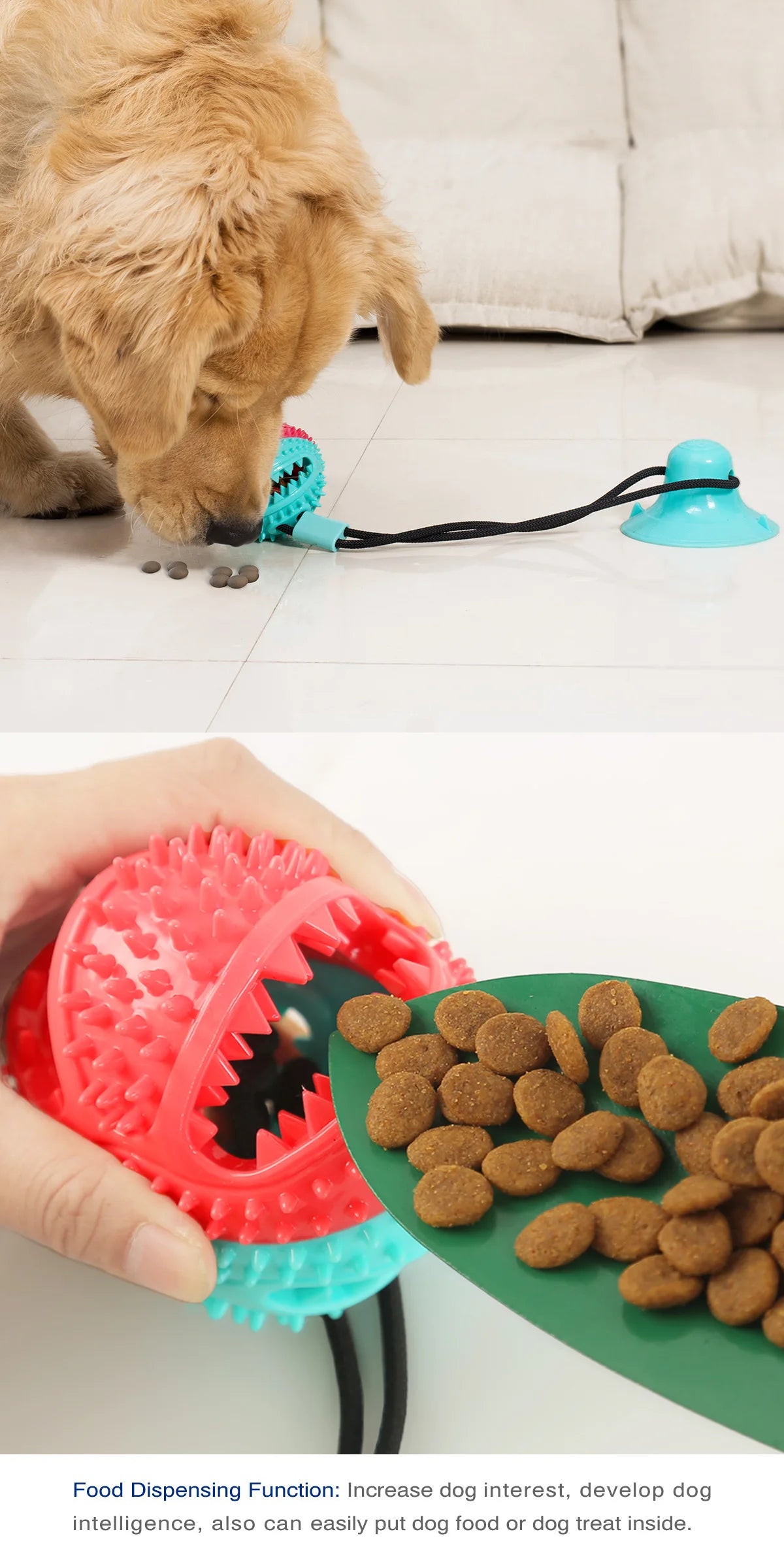 Toothbrush Chew Rope Dog Toy