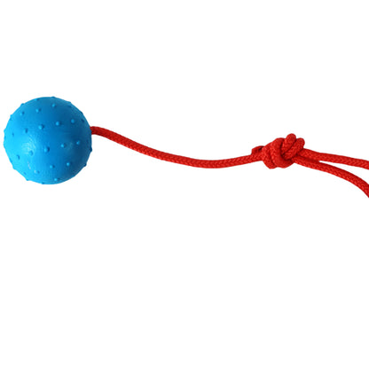 Handwoven Rope Chew Dog Toy