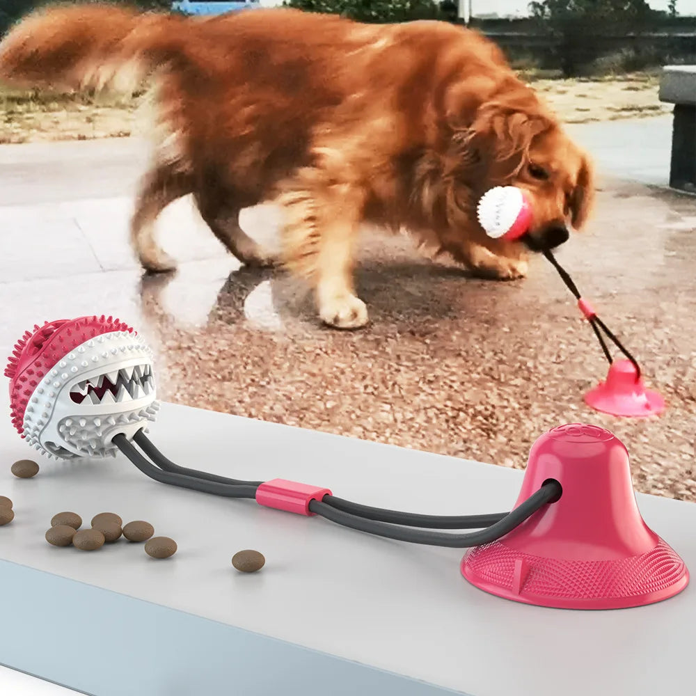 Toothbrush Chew Rope Dog Toy