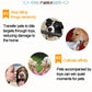 Goose Sound Plush Dog Toy