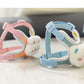 Cute Bear Dog Leash Set