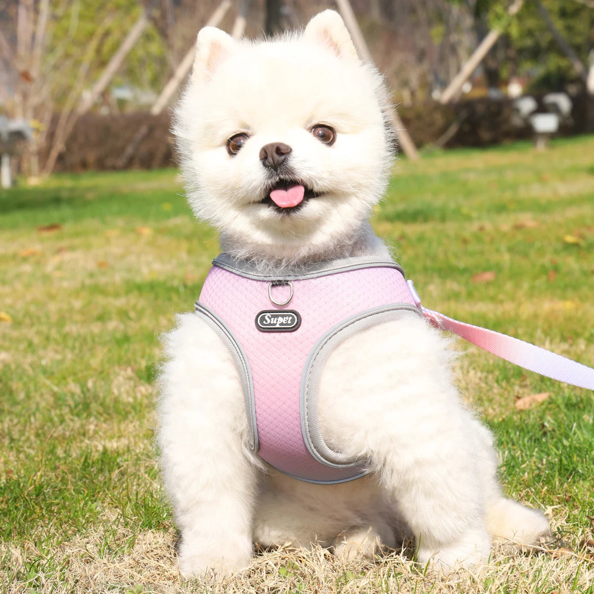 Adjustable Reflective Dog Harness