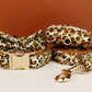Leopard Print Dog Collar Set