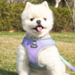 Adjustable Reflective Dog Harness