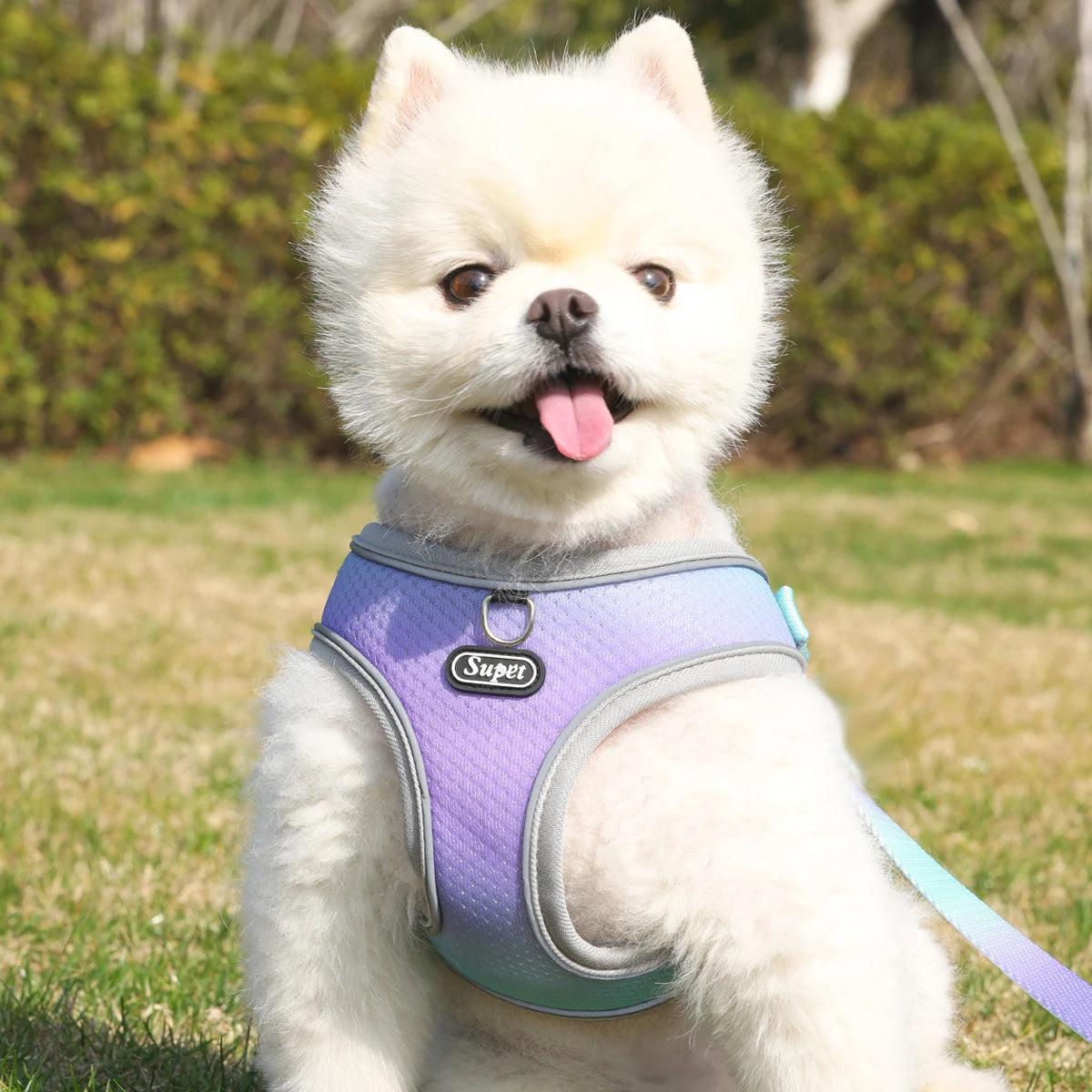 Adjustable Reflective Dog Harness