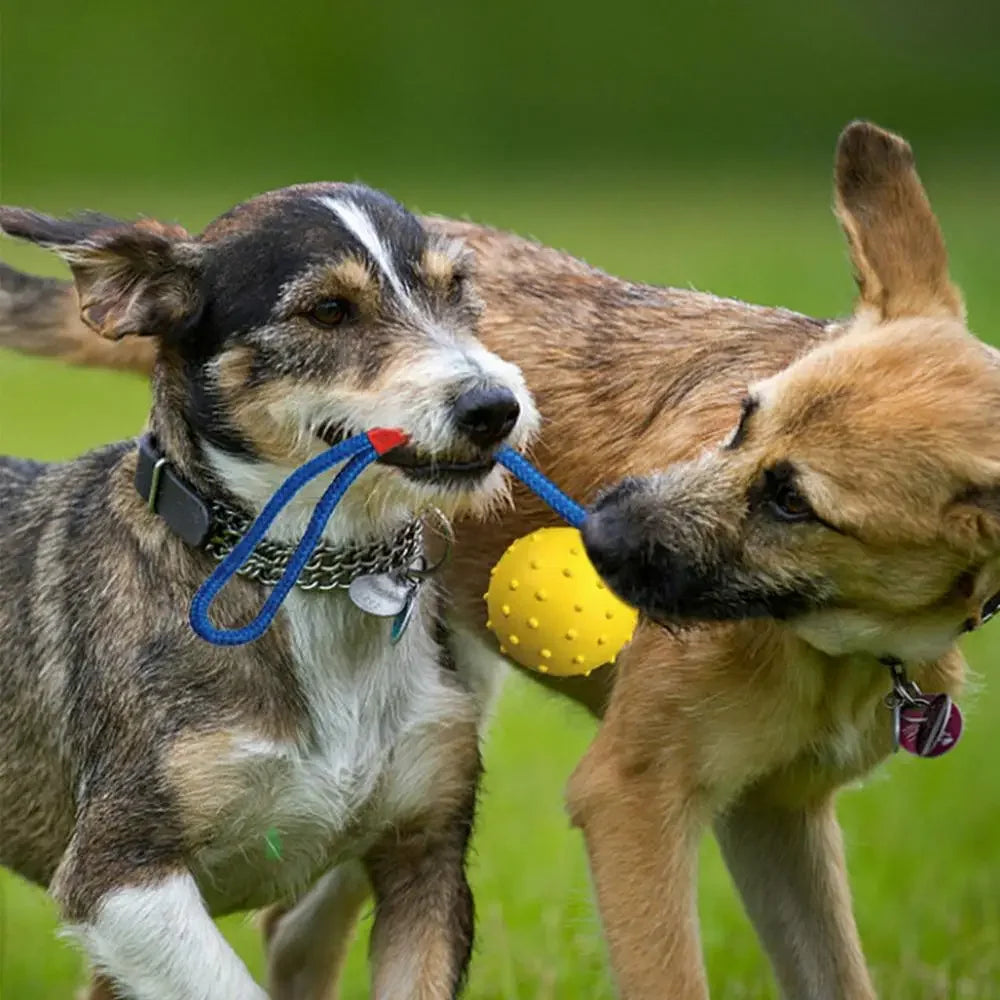 Handwoven Rope Chew Dog Toy